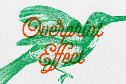 Vintage Overprint Template Effect
