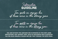 Vintage Postman - Handmade Font Duo