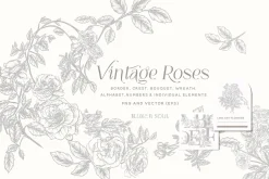 Vintage Roses - Line art Florals