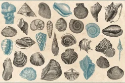 154 Vintage Sea Illustrations