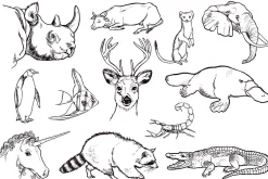 Vintage 1960's Illustrations-Animals