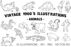 Vintage 1960's Illustrations-Animals