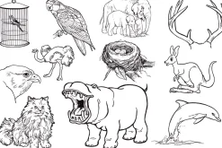 Vintage 1960's Illustrations-Animals