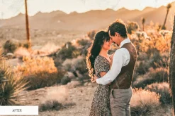 Vintage Tones Actions for Photoshop