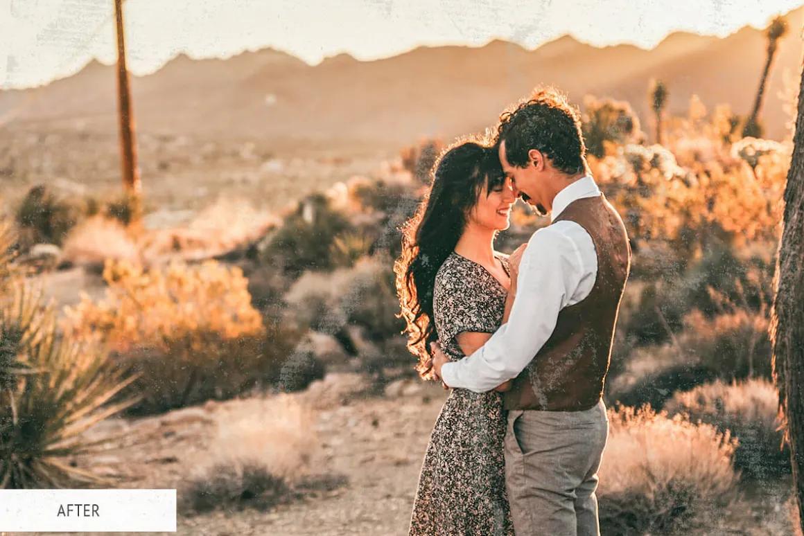 Vintage Tones Actions for Photoshop