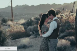 Vintage Tones Actions for Photoshop