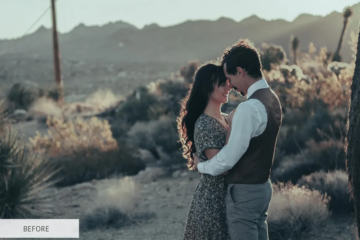 Vintage Tones Actions for Photoshop