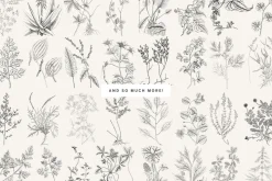 120 Vintage Transparent PNG Herbs