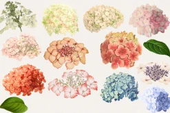 Vintage Watercolor Hydrangeas