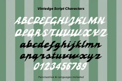 Vintedge Nostalgic Vibe Script Font