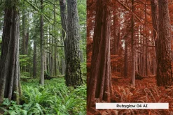 20 Vivid Infrared Lightroom Presets