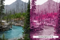 20 Vivid Infrared Lightroom Presets