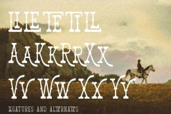 Volemik | Retro Slab Serif Font