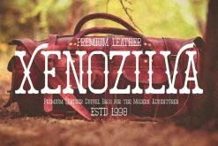 Volemik | Retro Slab Serif Font