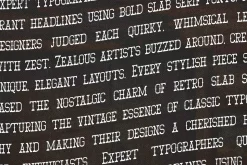 Volemik | Retro Slab Serif Font