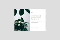 VOLK - Studio Proposal