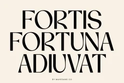 Vorage | Modern Minimalist Typeface