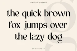 Vorage | Modern Minimalist Typeface