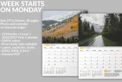 Wall Calendar 2026 (WC027-26-M)