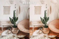 Warm & Airy Lightroom Mobile Presets