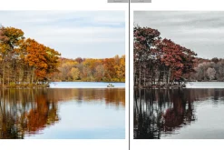 WARM CINEMATIC MOBILE LR PRESETS
