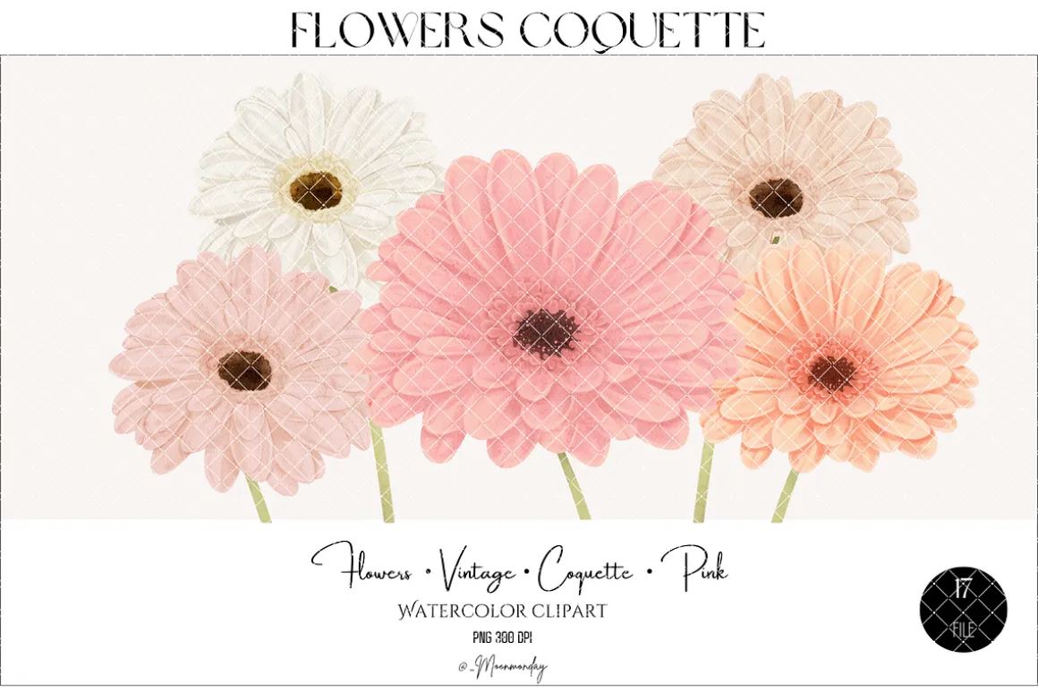 Watercolor Flowers Gerbera Coquette