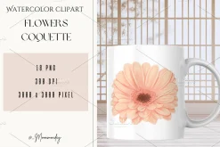 Watercolor Flowers Gerbera Coquette