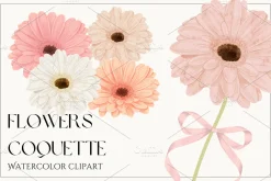 Watercolor Flowers Gerbera Coquette