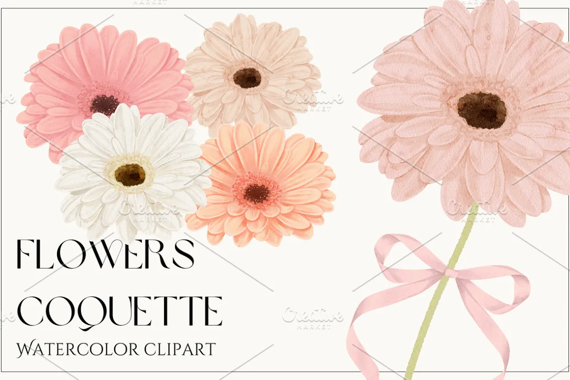 Watercolor Flowers Gerbera Coquette