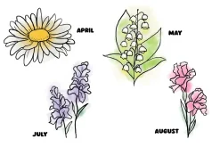 Watercolor Birth Month Flowers