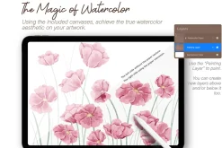 Watercolor Brushes for Procreate