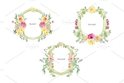 Watercolor Crests & Flowers & Frames