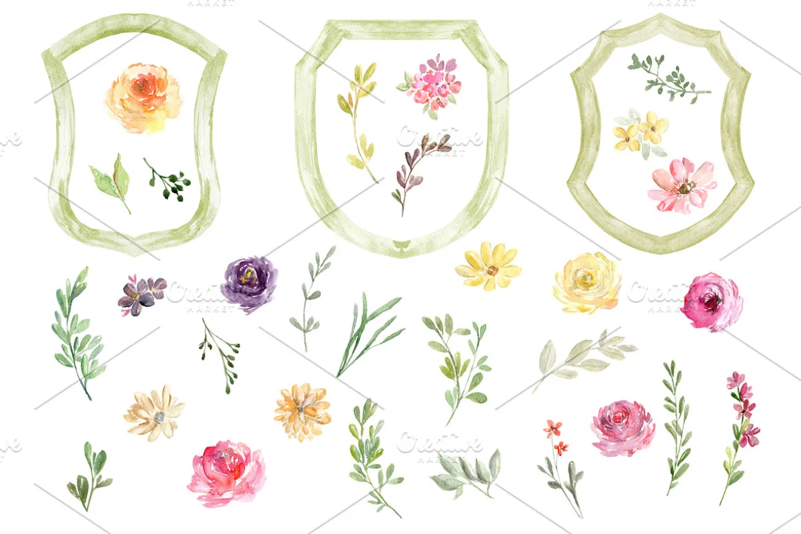 Watercolor Crests & Flowers & Frames