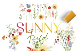 Watercolor Flower - SUNNY Field