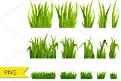 Watercolor Green Grass