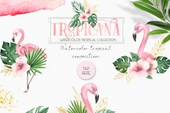 Watercolor tropical collection