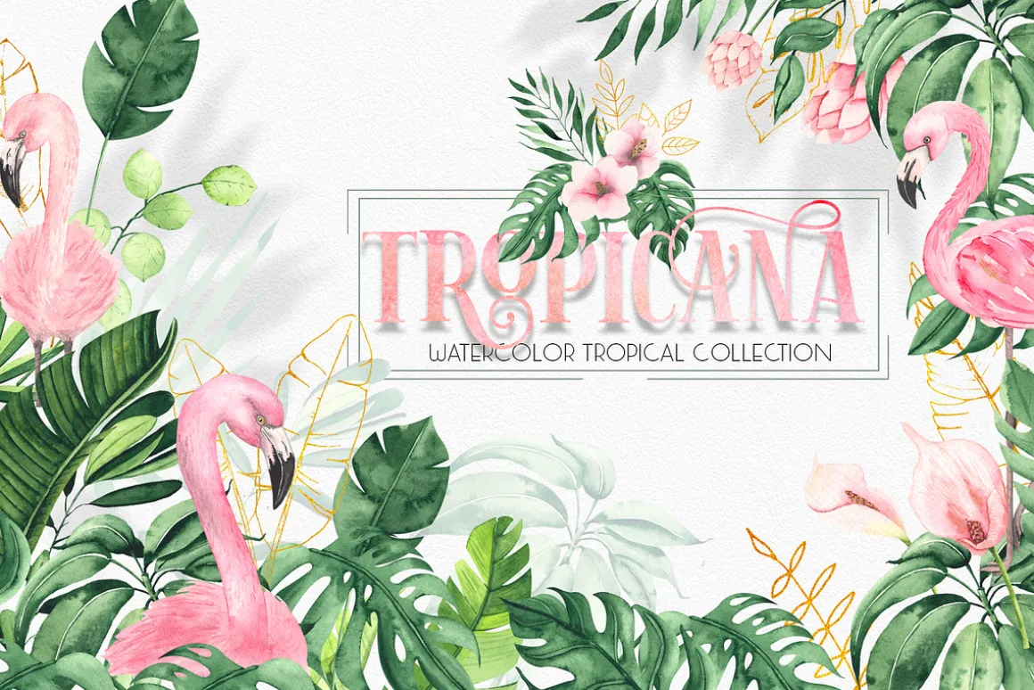 Watercolor tropical collection