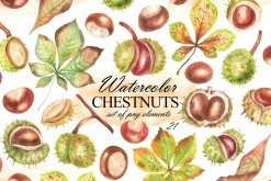 Watercolor autumn chestnuts clipart
