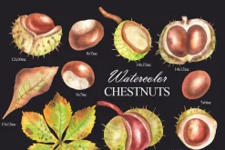 Watercolor autumn chestnuts clipart