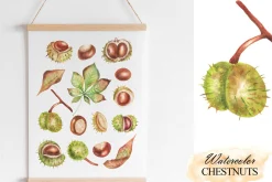 Watercolor autumn chestnuts clipart