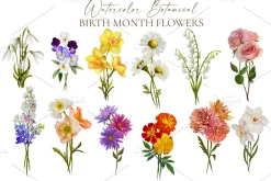 Watercolor Botanical Birth Flowers