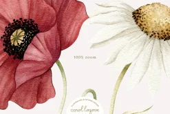 Watercolor Botanical Wildflowers Set