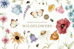 Watercolor Botanical Wildflowers Set
