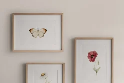 Watercolor Botanical Wildflowers Set