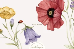 Watercolor Botanical Wildflowers Set