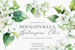 Watercolor Bougainvillea &Hydreangea