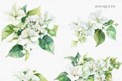 Watercolor Bougainvillea &Hydreangea
