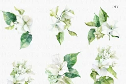 Watercolor Bougainvillea &Hydreangea