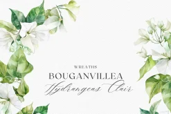 Watercolor Bougainvillea &Hydreangea