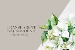 Watercolor Bougainvillea &Hydreangea
